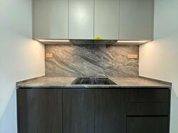 Leedon Green (D10), Condominium #568743631